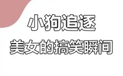 兔子帮动画全集爱奇艺